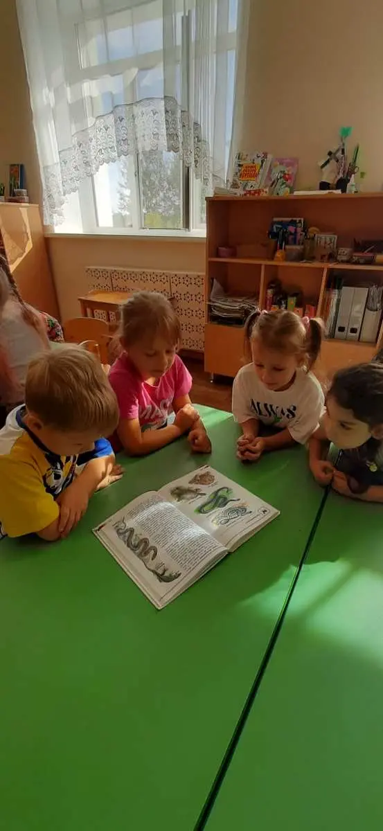 Тематическая беседа "Змеи"