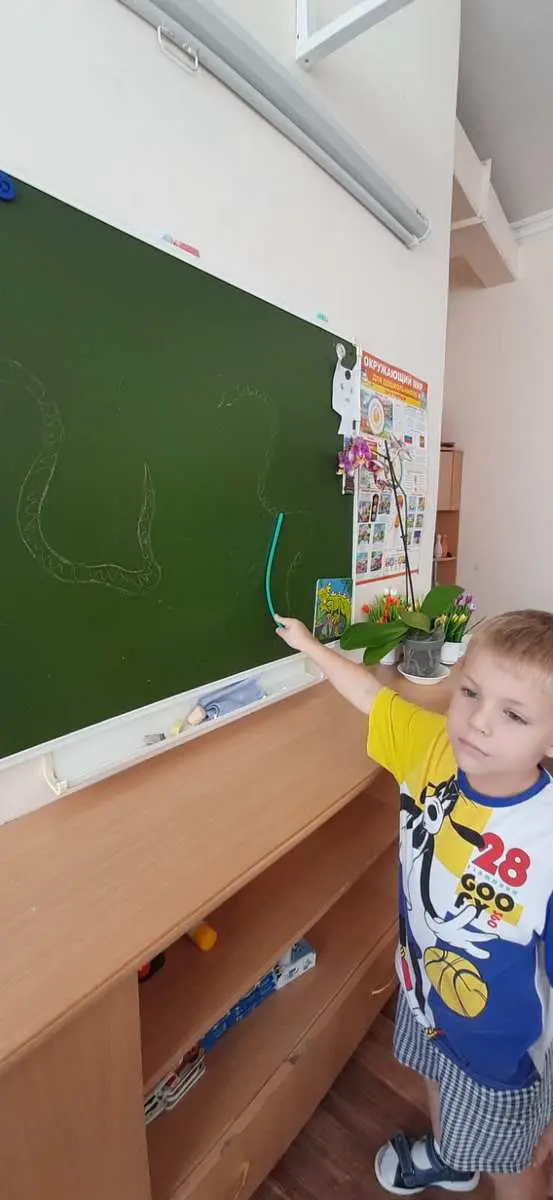 Тематическая беседа "Змеи"