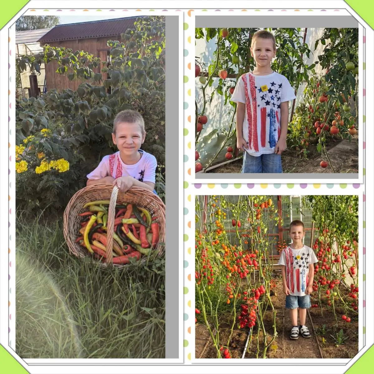 ✨️Урожай собирай и на зиму запасай✨️