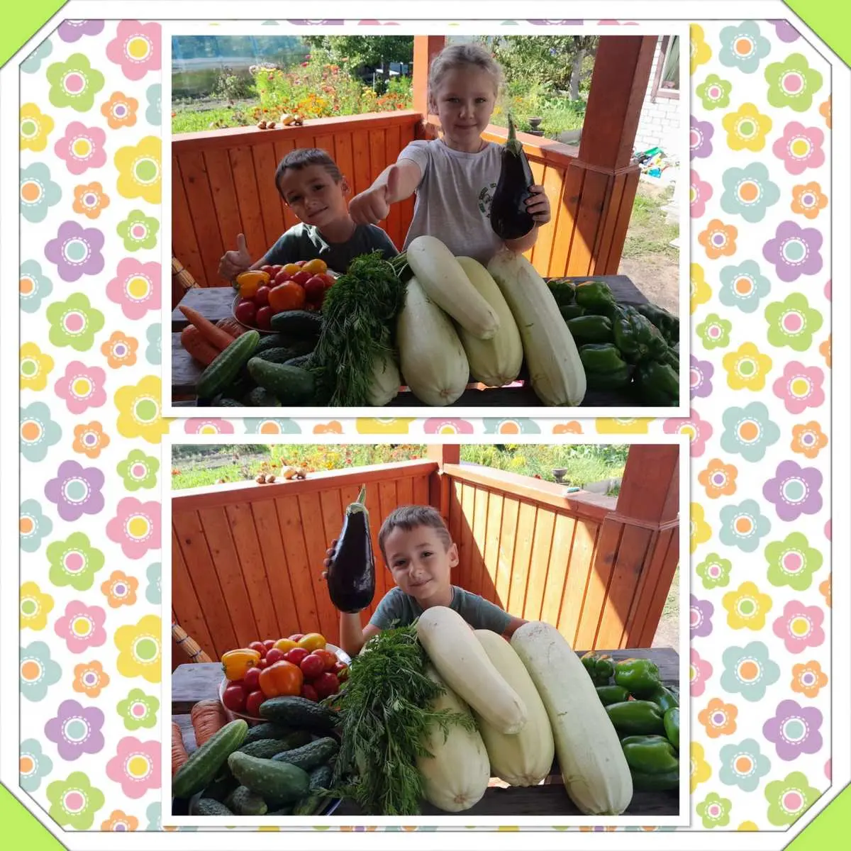 ✨️Урожай собирай и на зиму запасай✨️