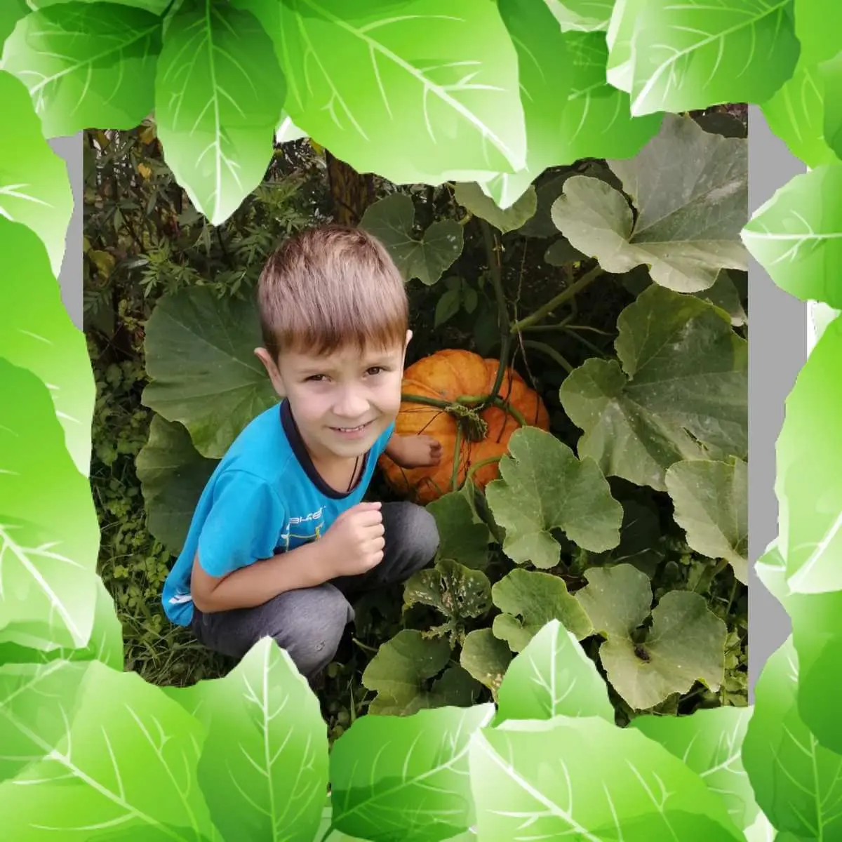 ✨️Урожай собирай и на зиму запасай✨️