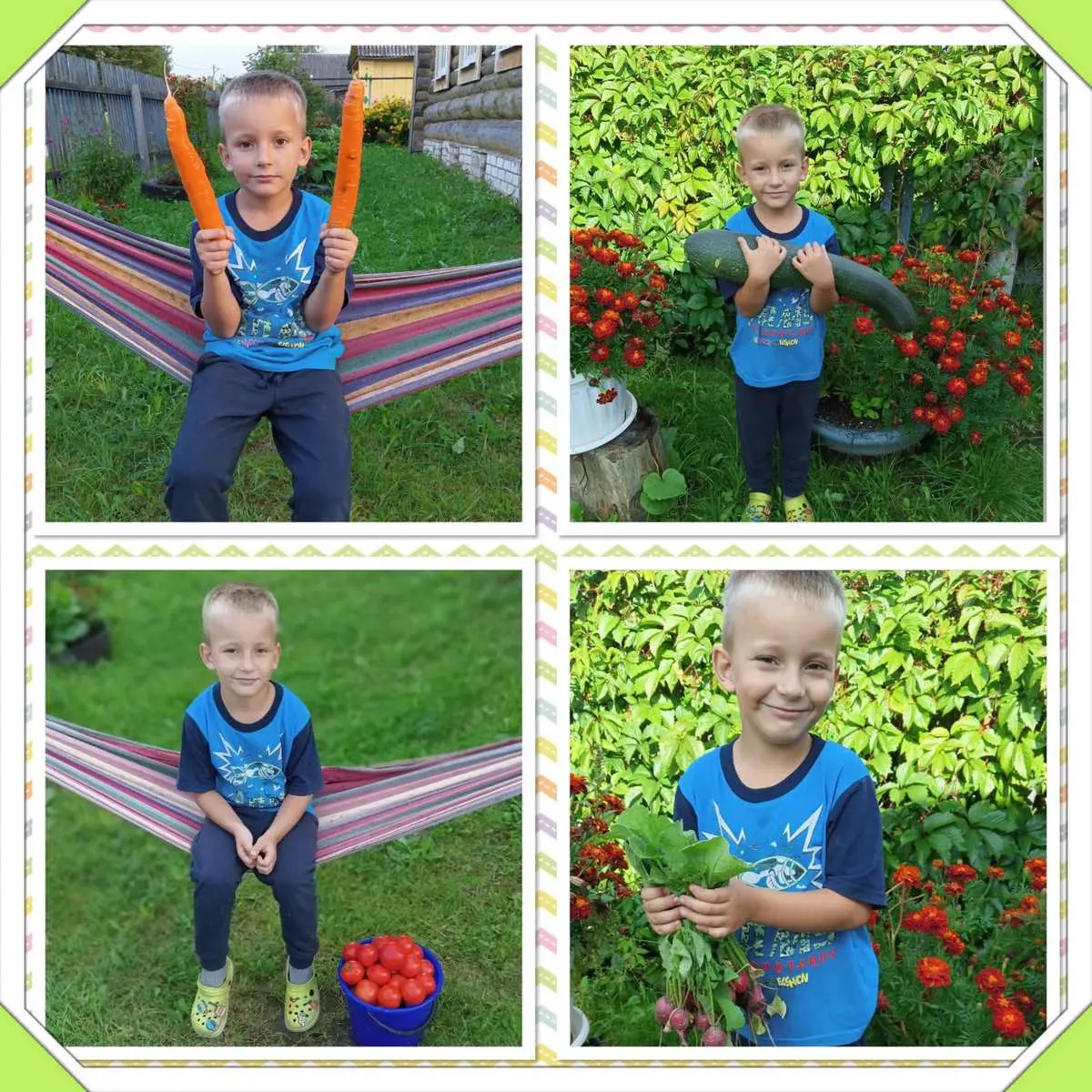 ✨️Урожай собирай и на зиму запасай✨️