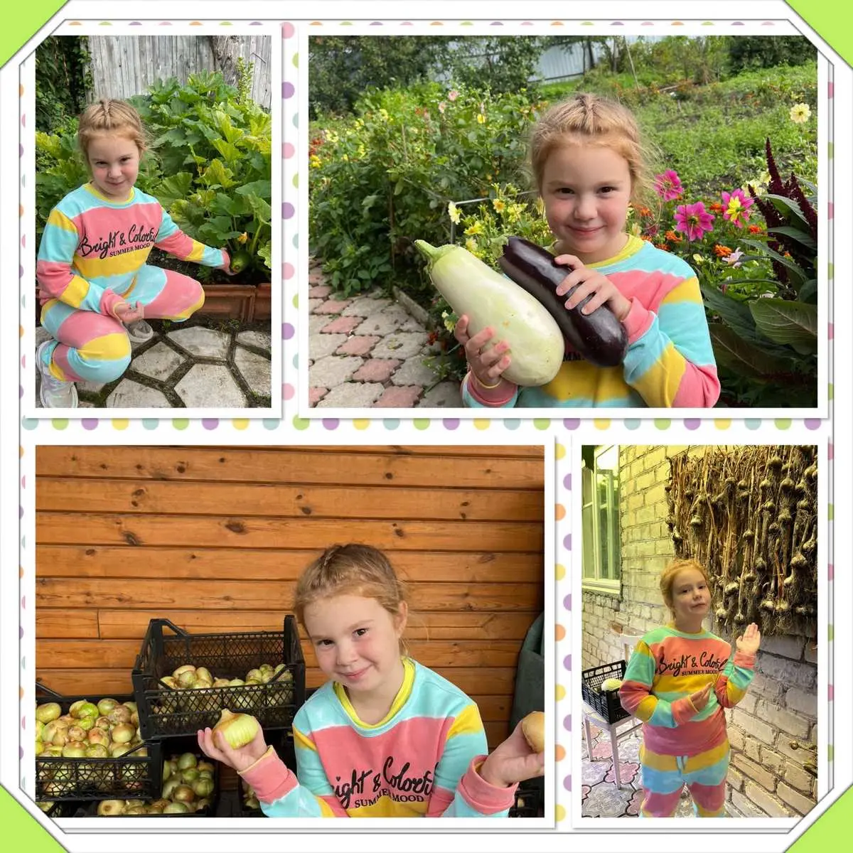 ✨️Урожай собирай и на зиму запасай✨️