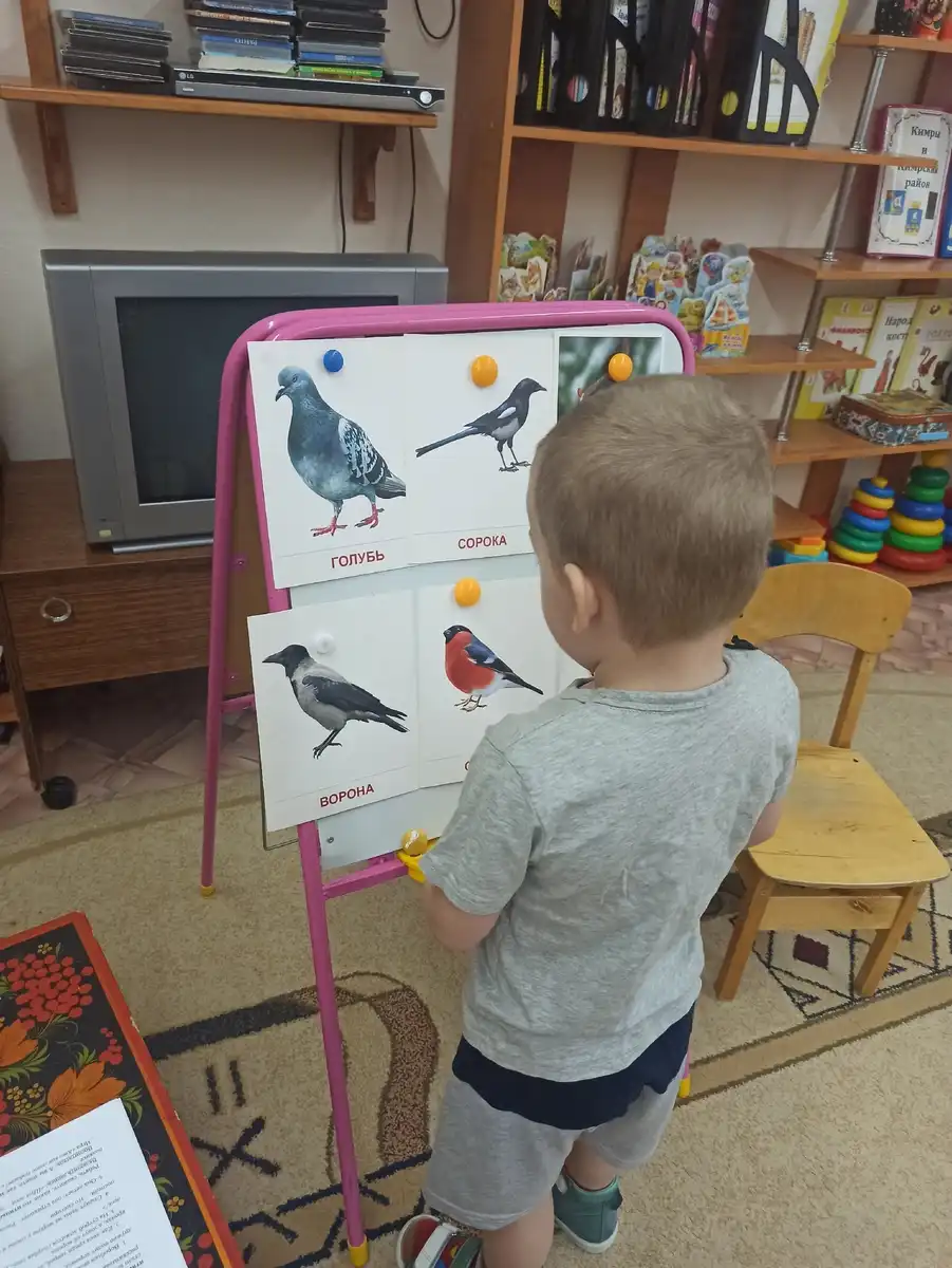 "Всероссийский день зимующих птиц".