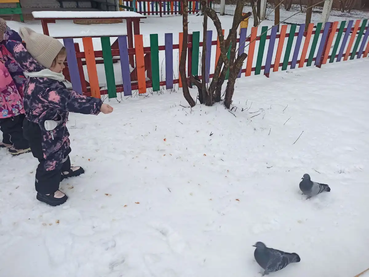 "Всероссийский день зимующих птиц".