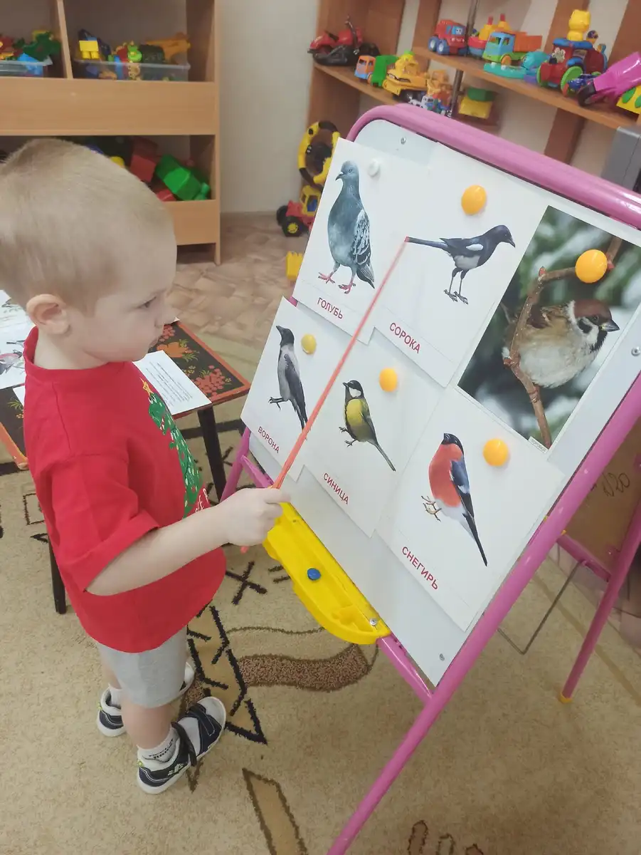 "Всероссийский день зимующих птиц".